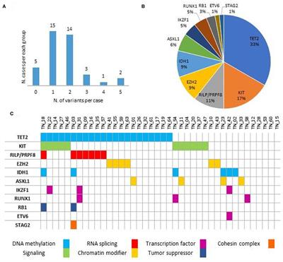 Triple-Negative Essential Thrombocythemia: Clinical-Pathological and Molecular Features. A Single-Center Cohort Study